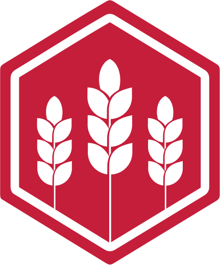 Ícono