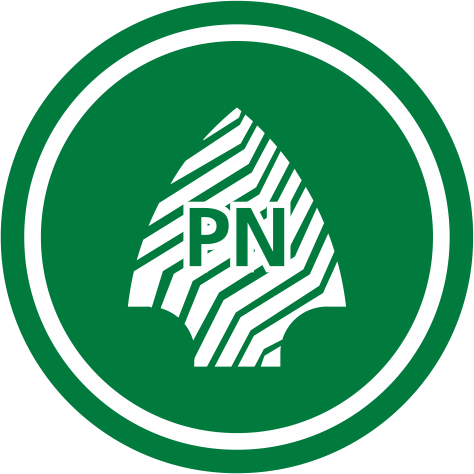 Ícono