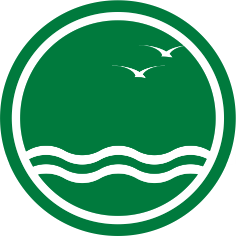 Ícono