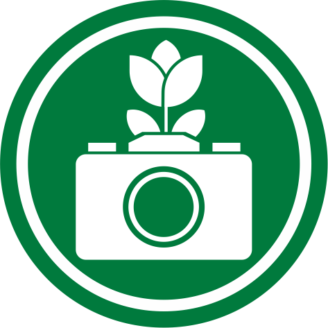 Ícono
